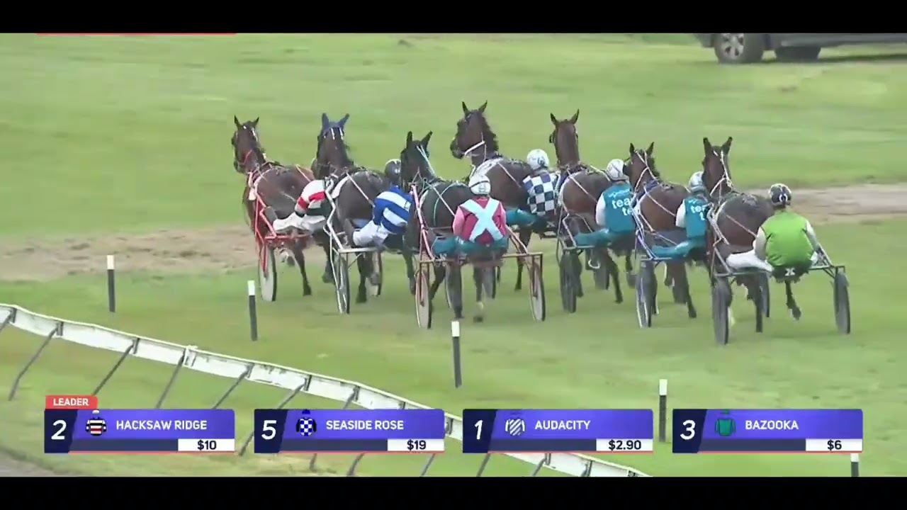 MISTY BLUE - 2026 Amberley Cup