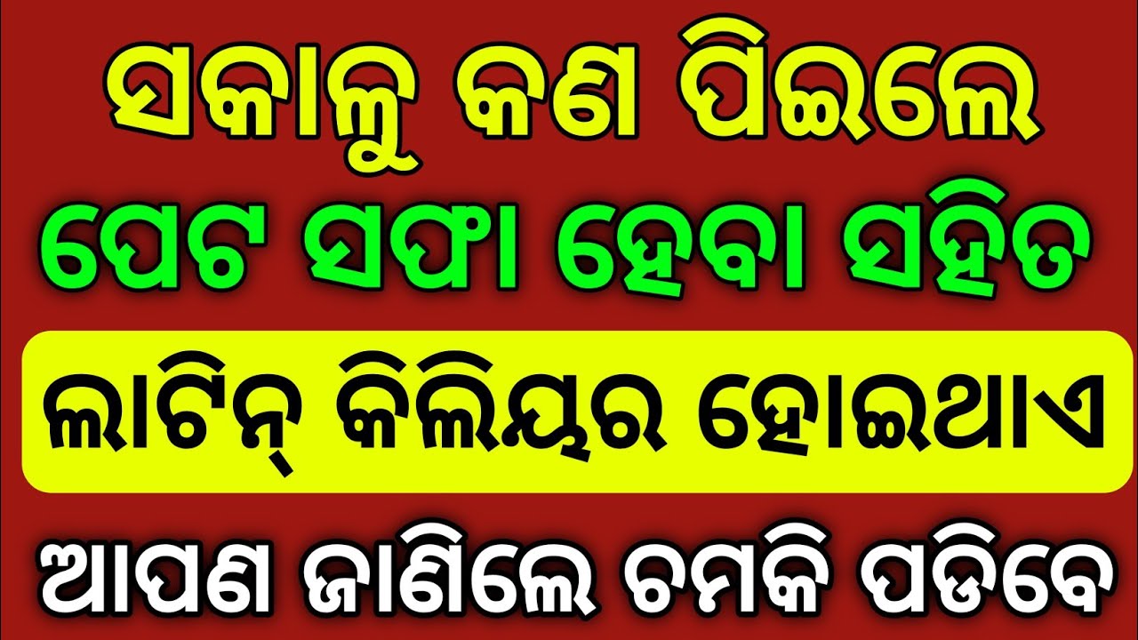 Odia Gk Questions | General Knowledge Quiz | Odia Competitive | Odisha Gk In Odia