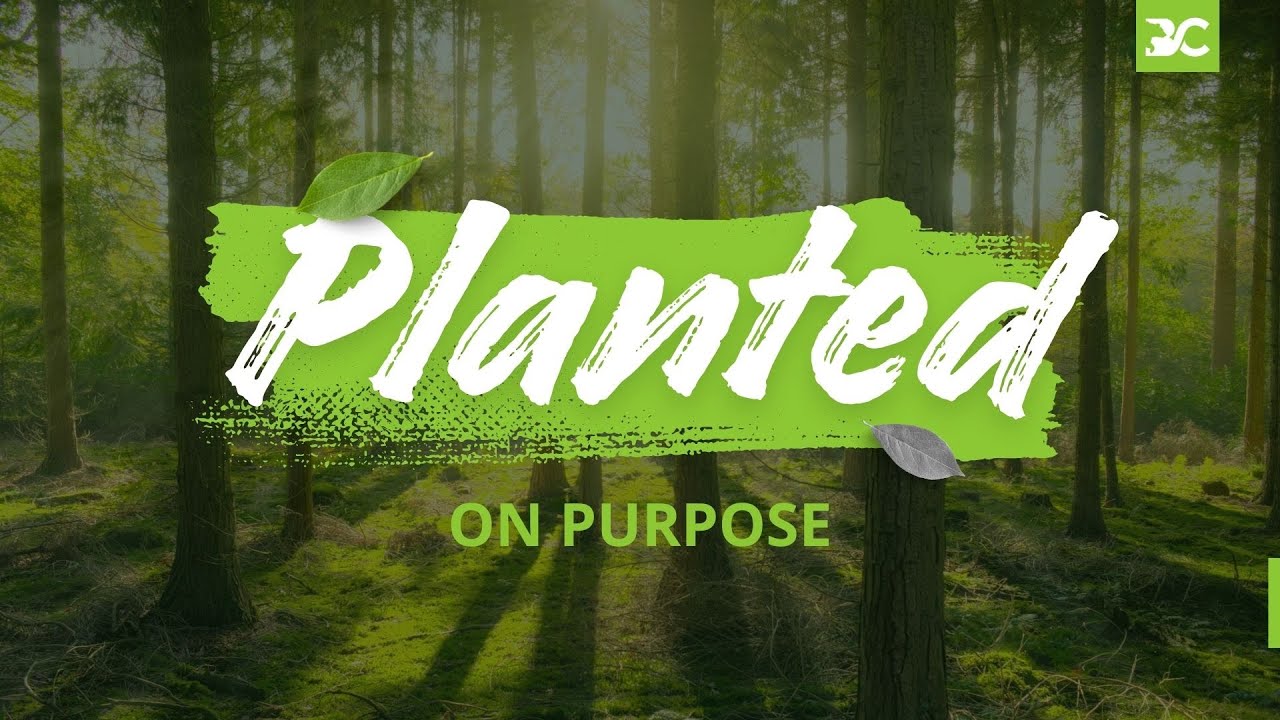 Planted On Purpose: Moses and the Burning Bush