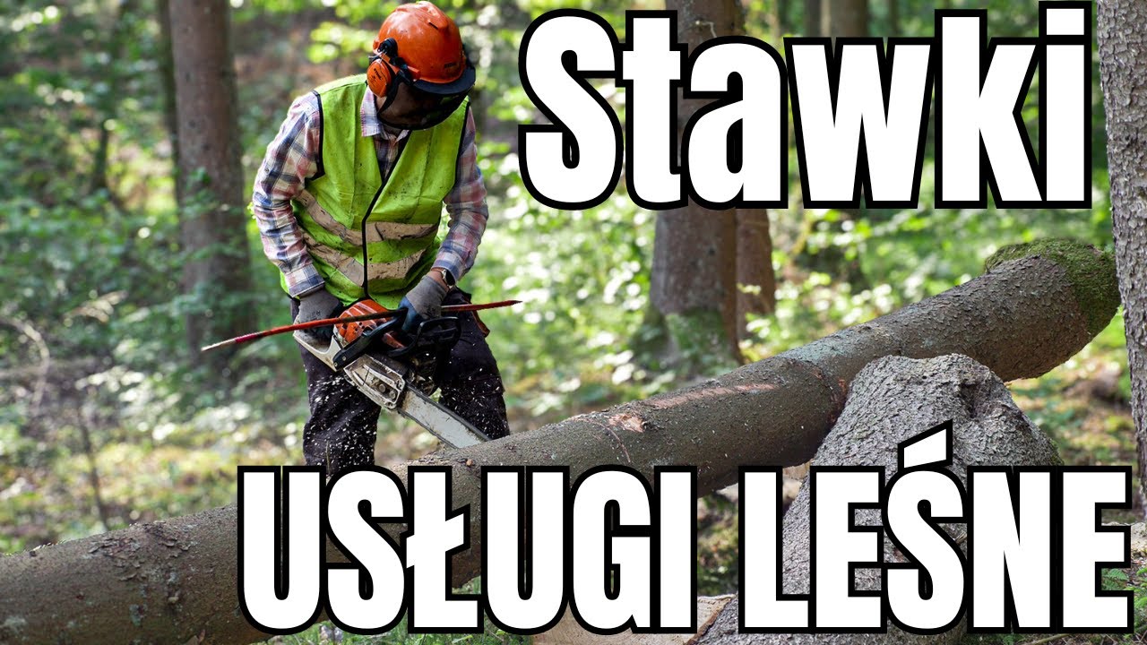 STAWKI NA USŁUGI LEŚNE || Okiem ZULa & GWARANCJE24.PL