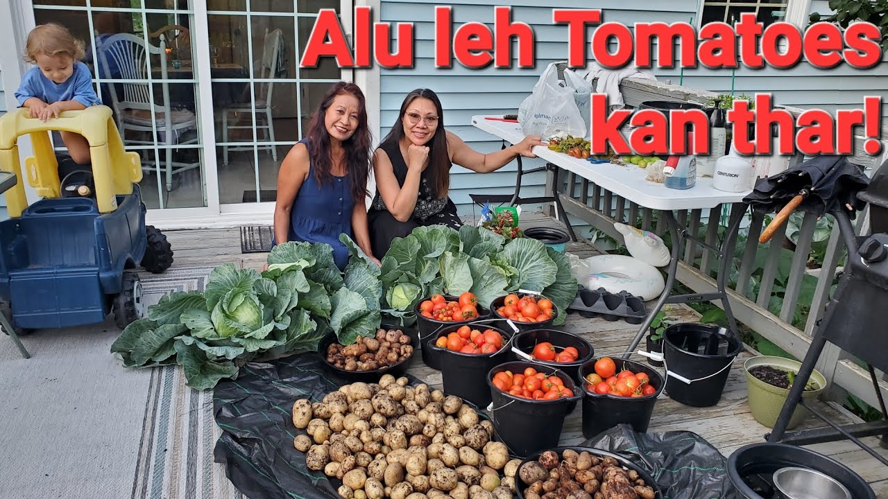 Партей Дебли и его муж Дейл Дебли принесли мне картофель и помидоры! 😊 👌 #овощнойсад