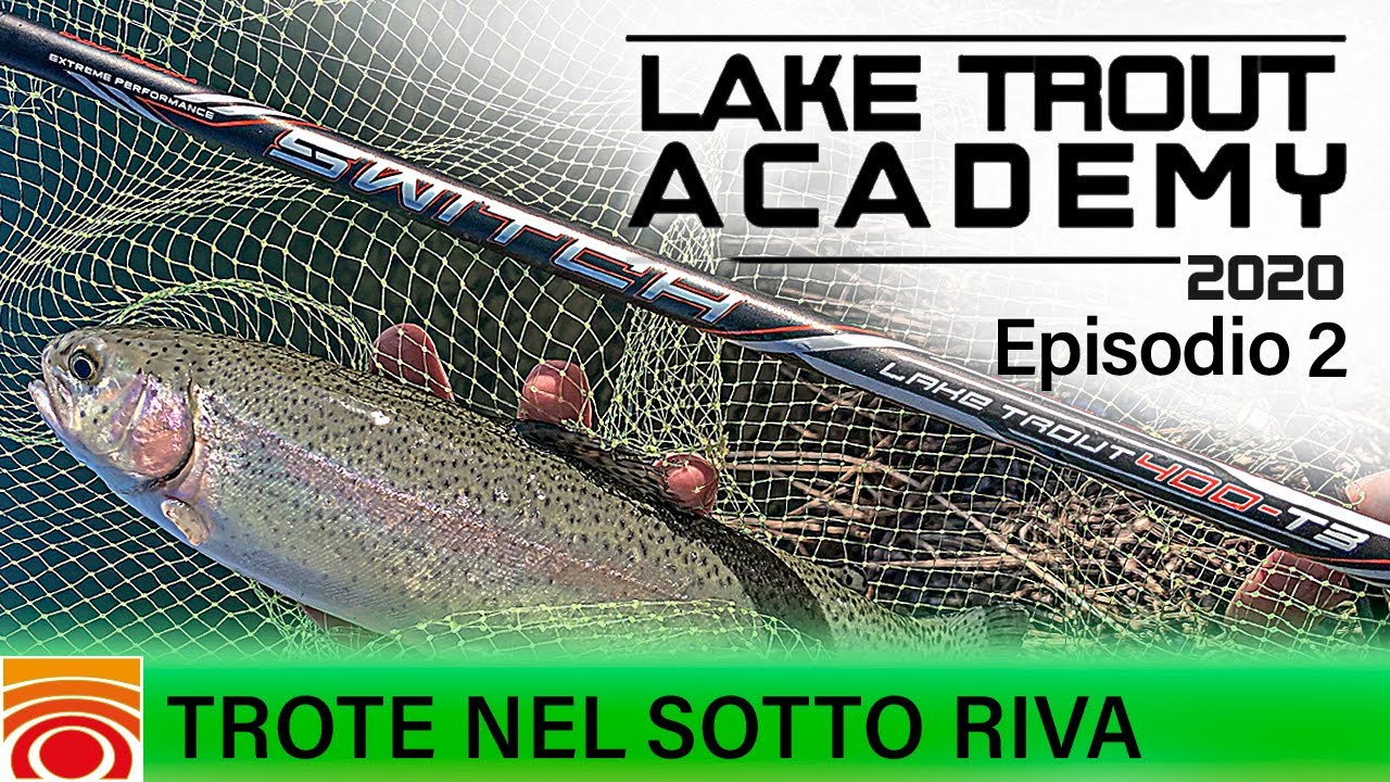 Trote nel sotto riva  |  Lake Trout Academy S2E2 |   @trabuccofishing