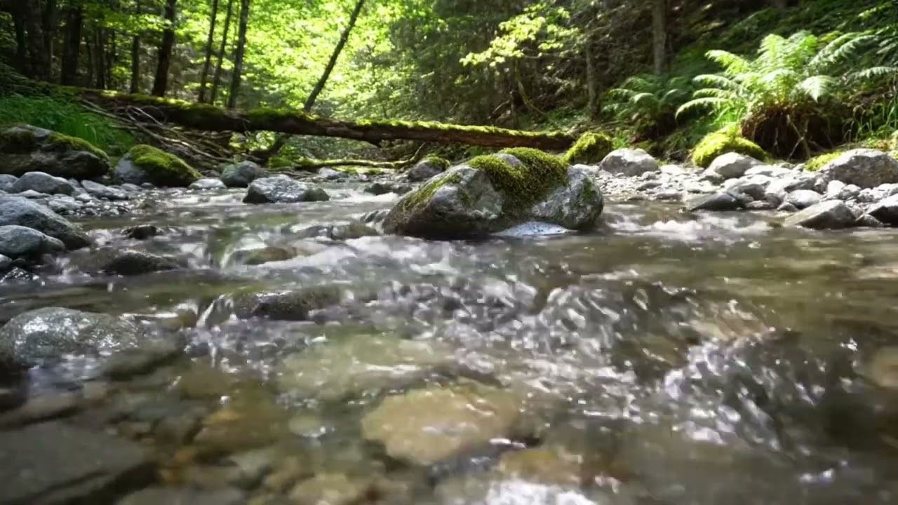 Natural River Flow for Meditation, Study and Deep Sleep HD