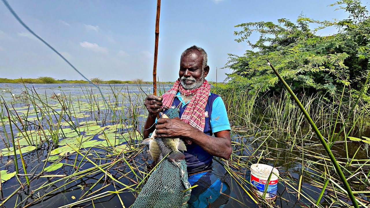 மக்களே 2025 முதல் நாள் காட்சி கலிங்கியில் துள்ளி குதித்து விளையாடும் மீன்கள் பிடித்தோம் #மாரியம்மன்
