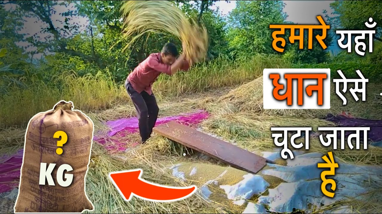 क्या मैं यह कर पाऊँगा | pahadi lifestyle | village life in uttarakhand | Pithoragarh