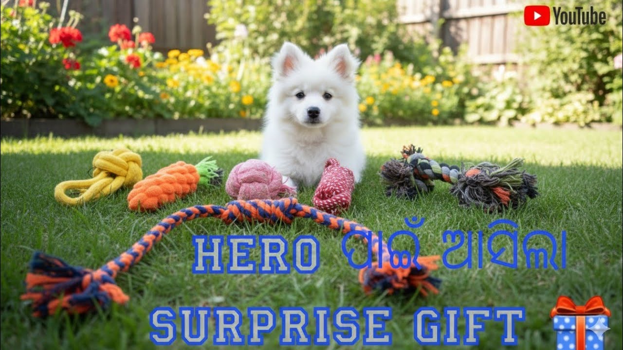 Hero ପାଇଁ ଆସିଲା Surprise Gift 🎁 ||Travel with Rebel 