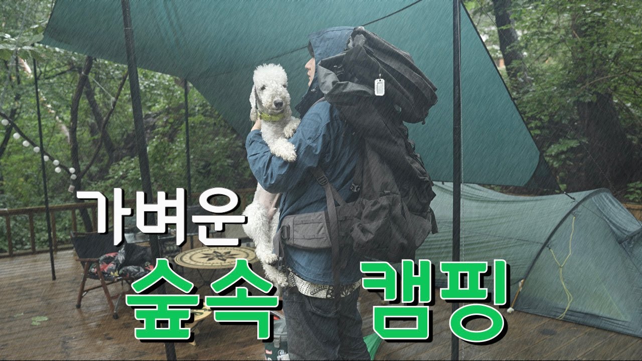 비 내리는 숲 속, 가볍게 가서 더 가볍게 돌아오는 미니멀 우중캠핑
