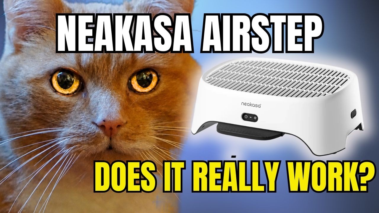 Neakasa Airstep действительно работает — пандус и очиститель воздуха.