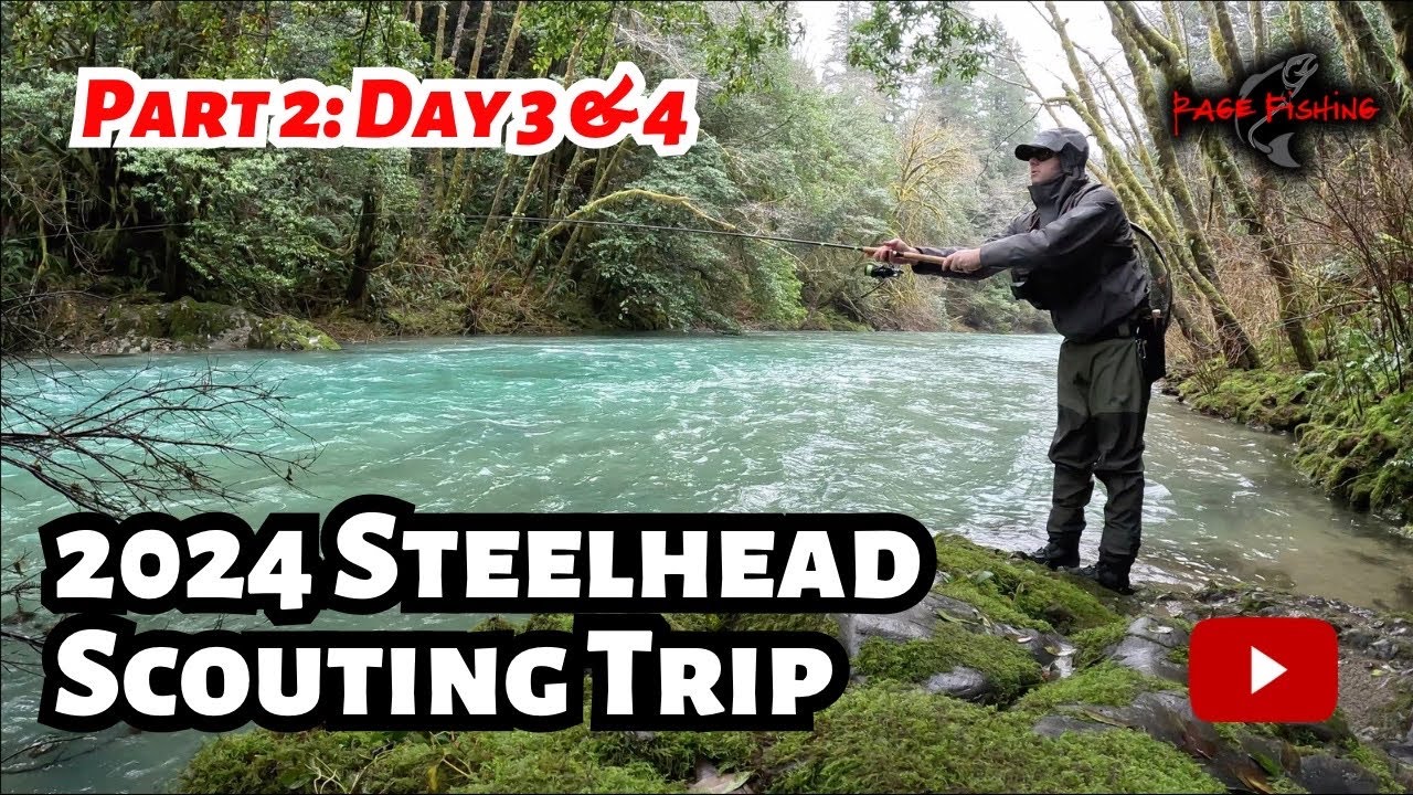 STEELHEAD SCOUTING TRIP PART 2 - DAYS 3 & 4 - 3 RIVERS IN 4 DAYS - Oregon Coastal Steelhead Fishing.