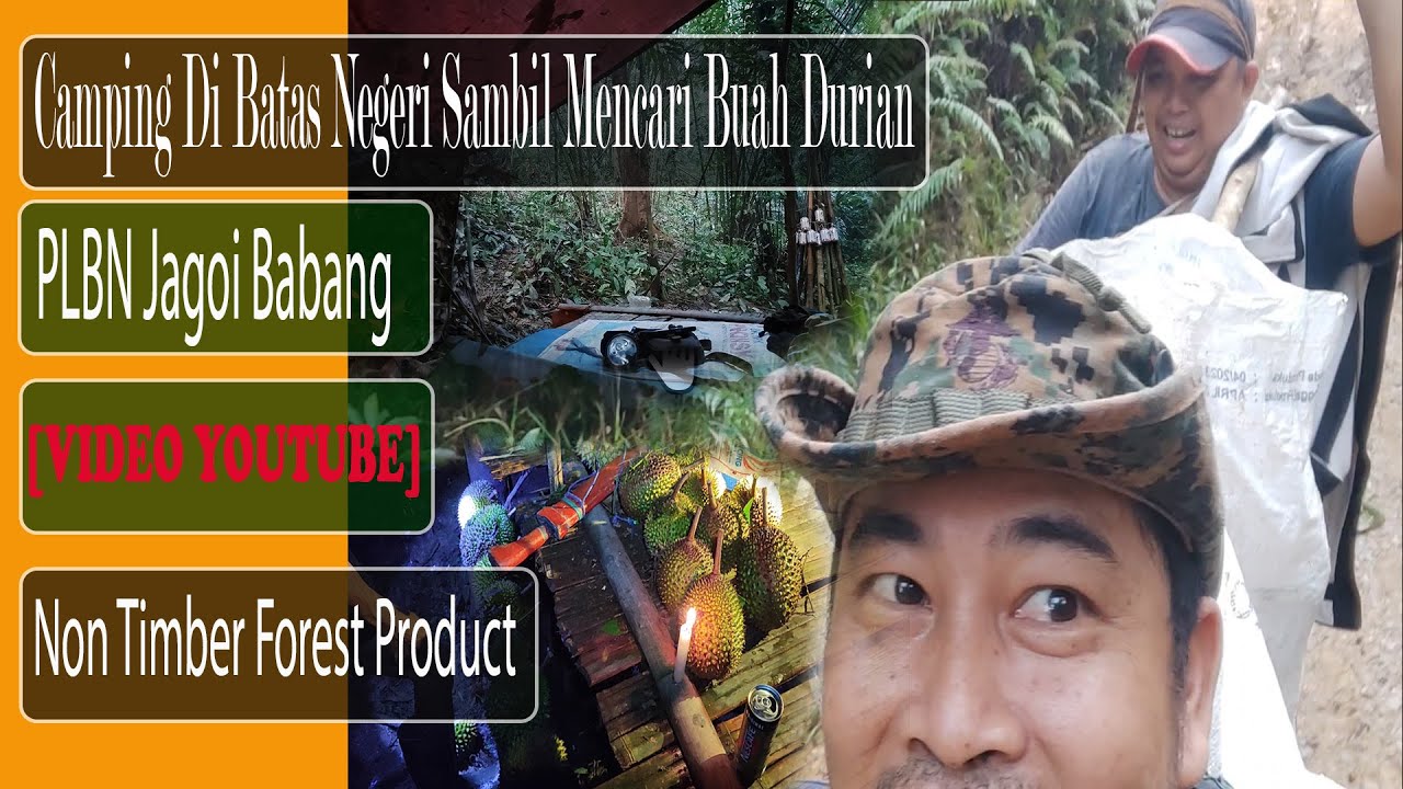 Camping Di Batas Negeri Sambil Mencari Buah Durian