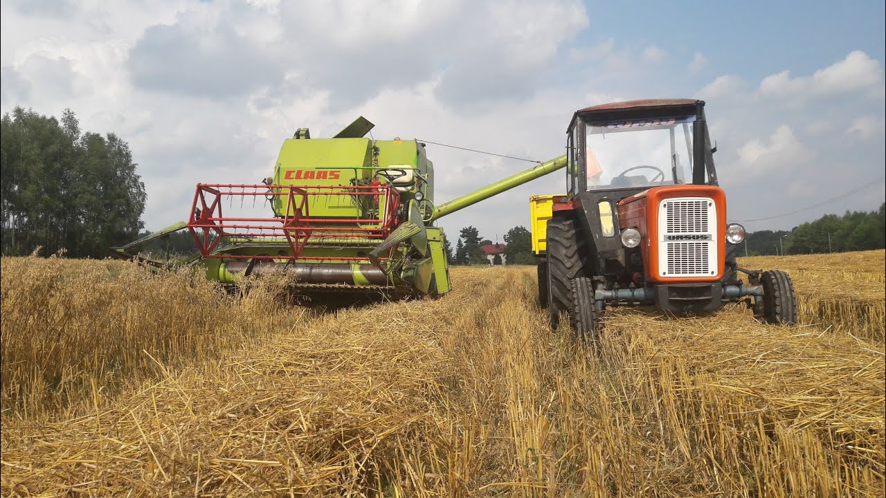 Żniwa 2019 cz.2 ! Koszenie owsa ☆ Claas Compact 30 & Ursus C-360 ☆🔥Ursus_strong_team🔥