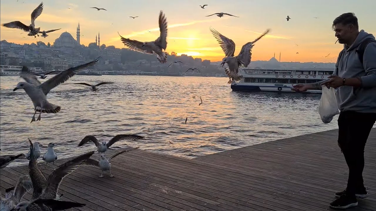 BEST INSTAGRAM SPOT IN ISTANBUL, SEAGULLS FEEDING FRENZY DURING A BEAUTIFUL SUNSET IN ISTANBUL, 4k