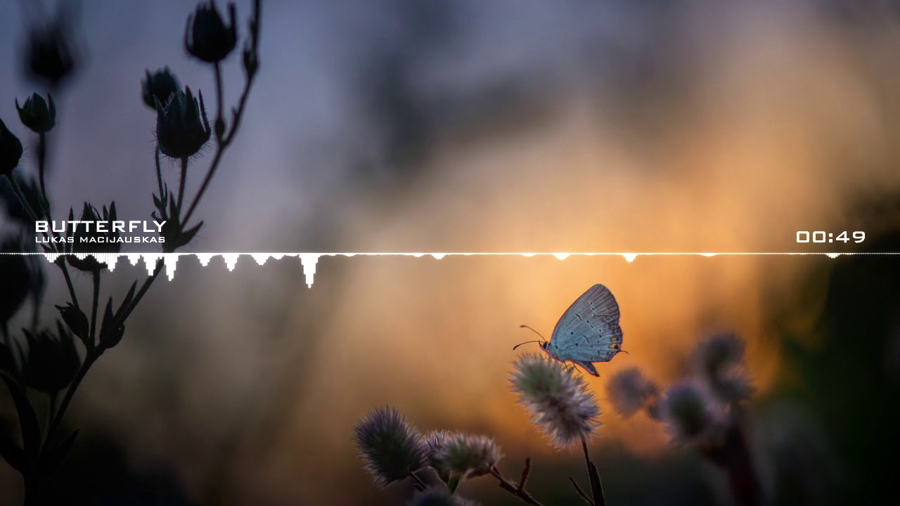Lukas Macijauskas - Butterfly