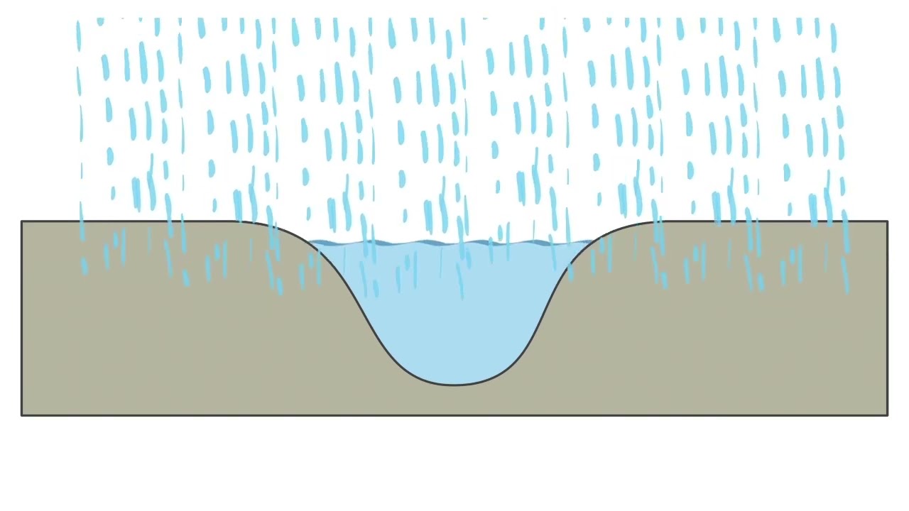 Levee Formation