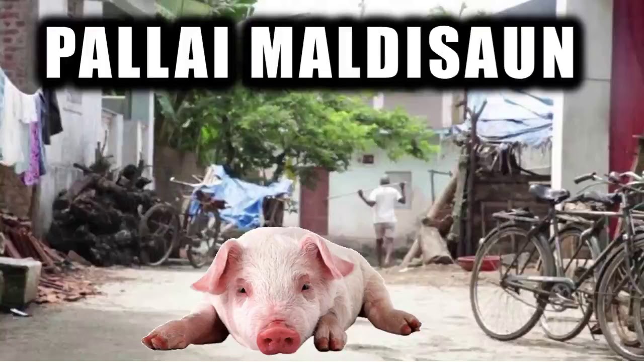 Jai East Indian - Pallaai Maldisaun ( Song on Dukkar) Sung especially for MEICF CD Title Karan