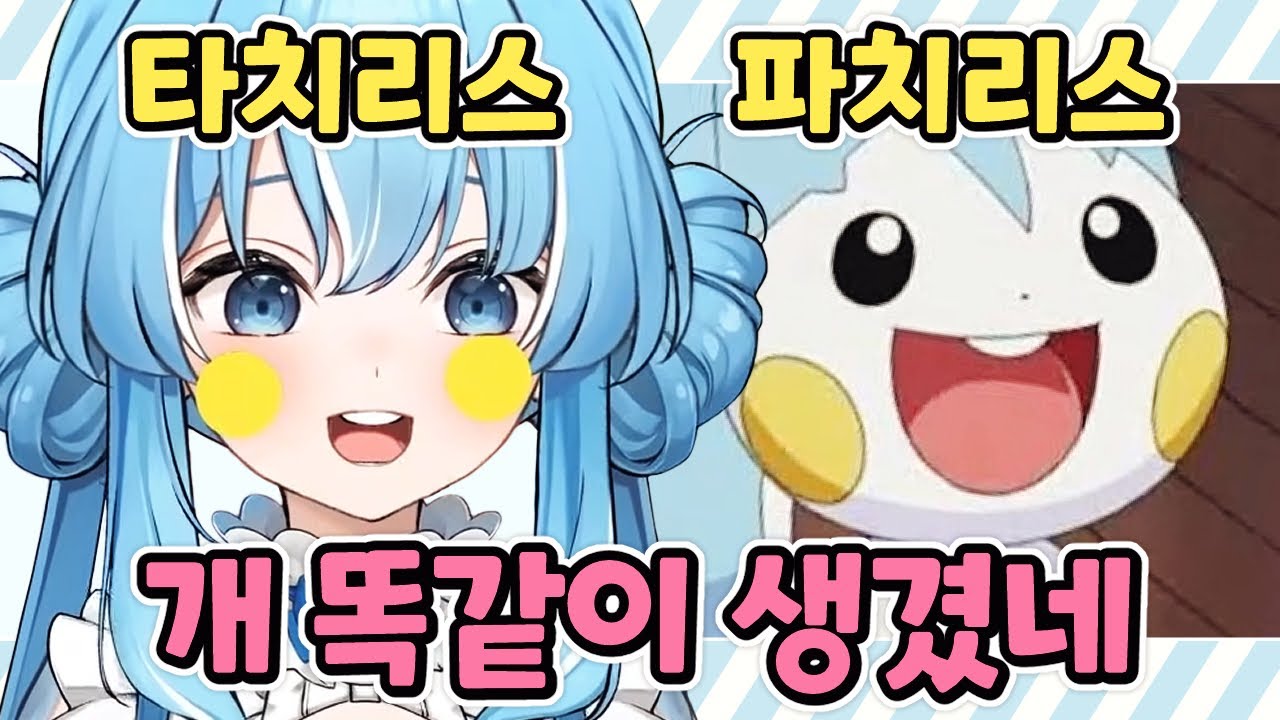 그러니까 왼쪽이 파치리스죠?