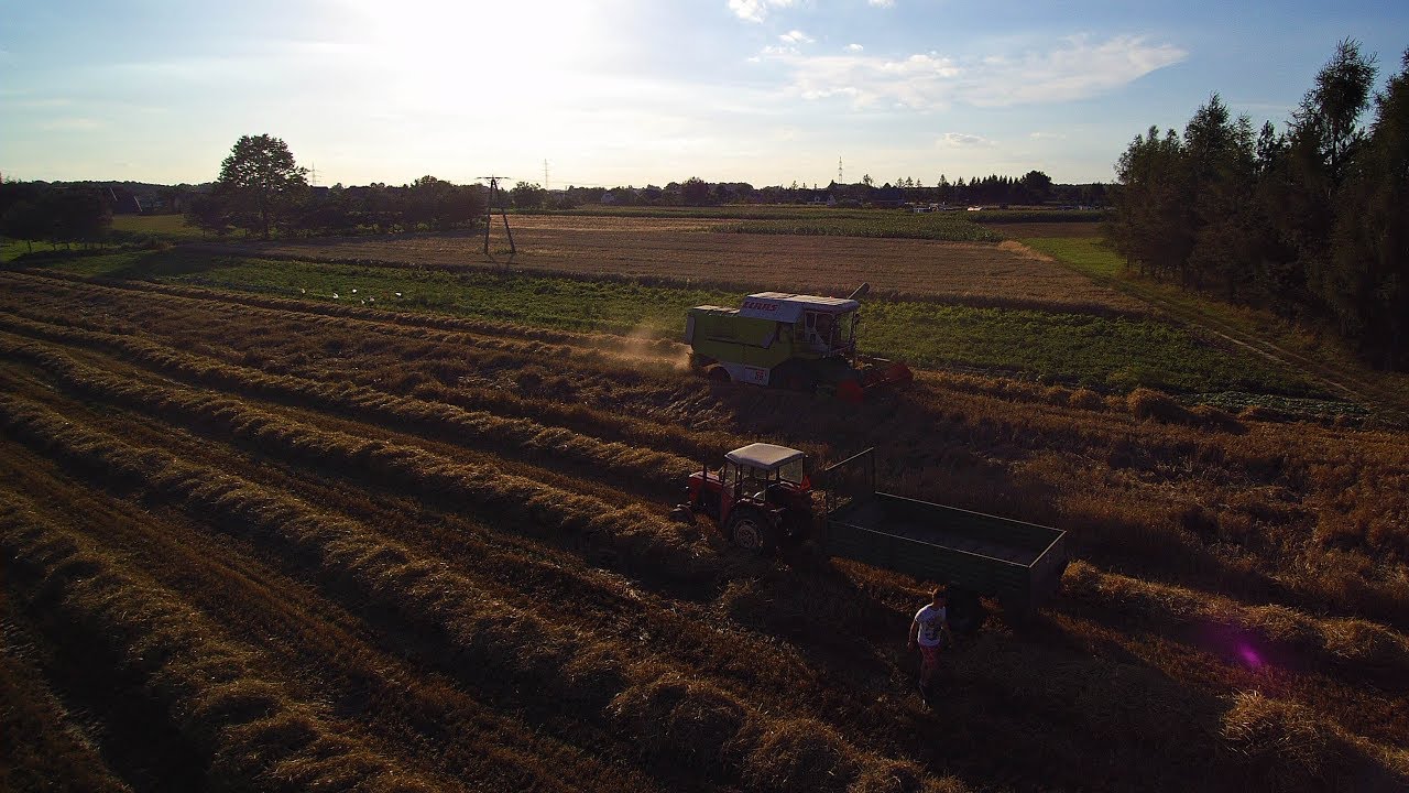 Żniwa 2017 na Górnym Śląsku - Zbiór jęczmienia z lotu ptaka - Claas Dominator 86 || Ursus C-330