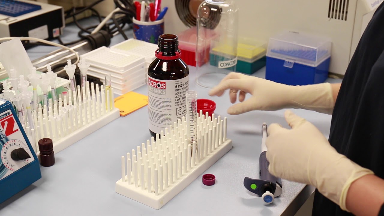 Fecal Extraction Demo - Arbor Assays