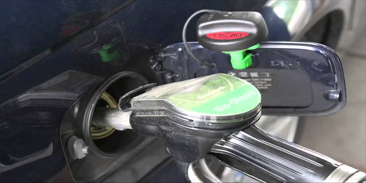 Ron & Fez - New Pepper Theme Songs ("Stanley Sucks A D*ck")