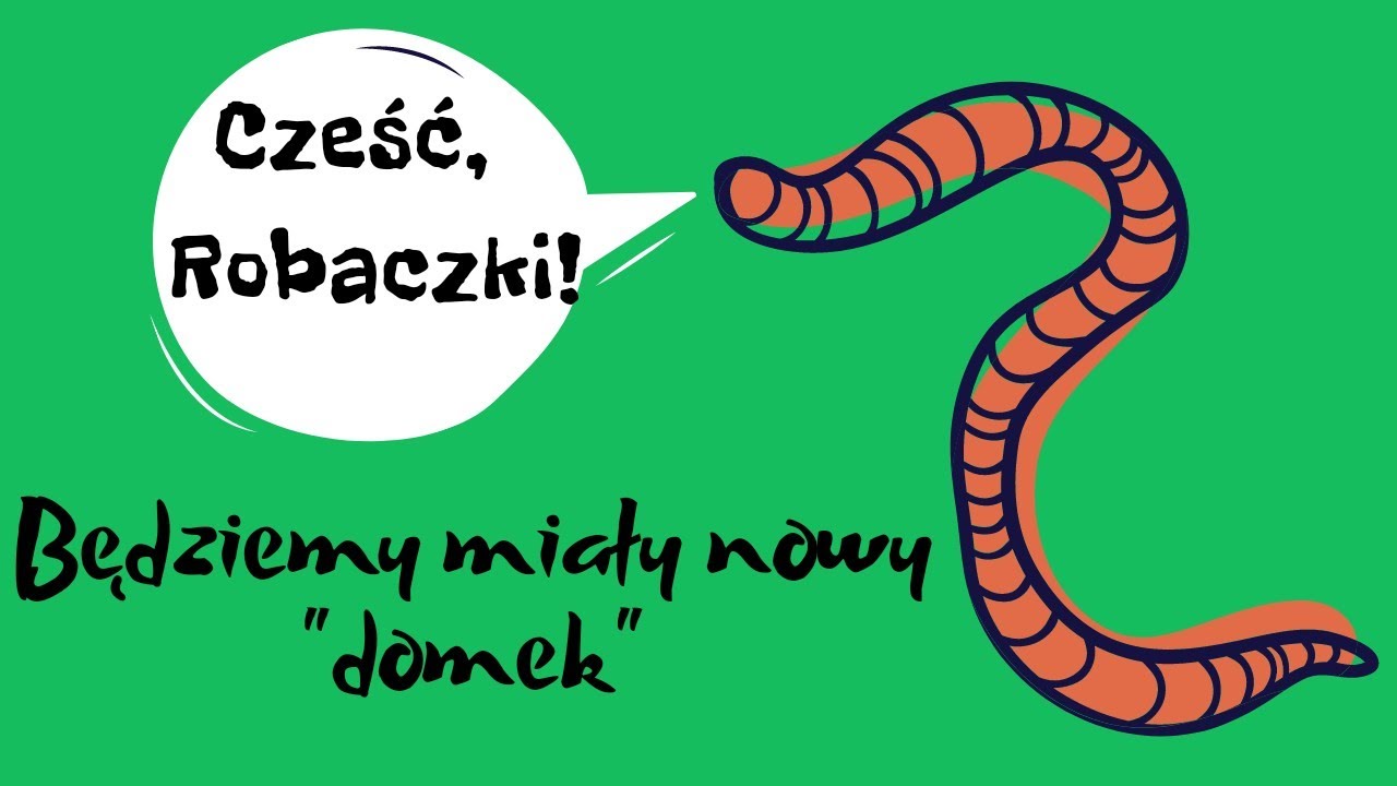 dżdżownice kalifornijskie  - jak zbudować domek dla dżdżownic, możesz spróbować