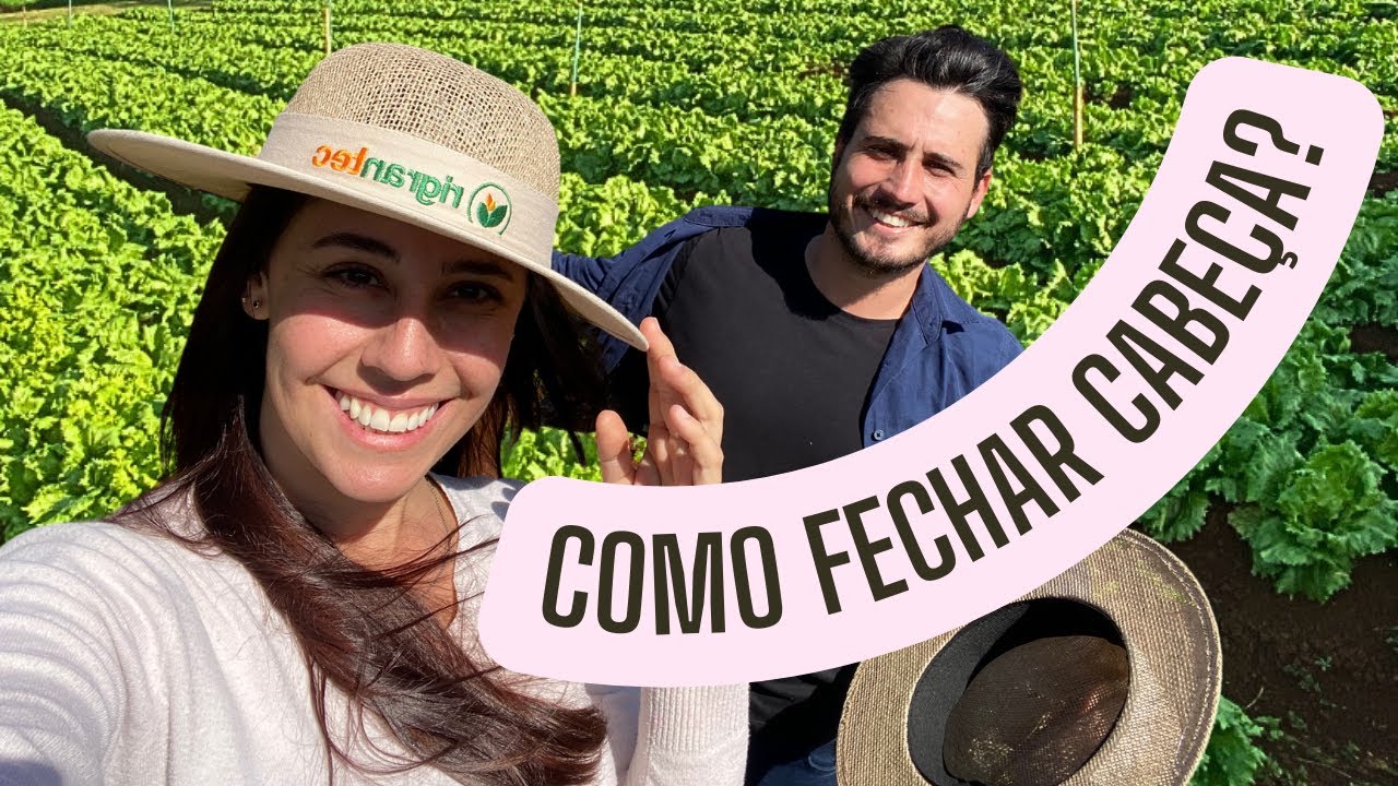 COMO PRODUZIR ALFACE AMERICANA DE QUALIDADE