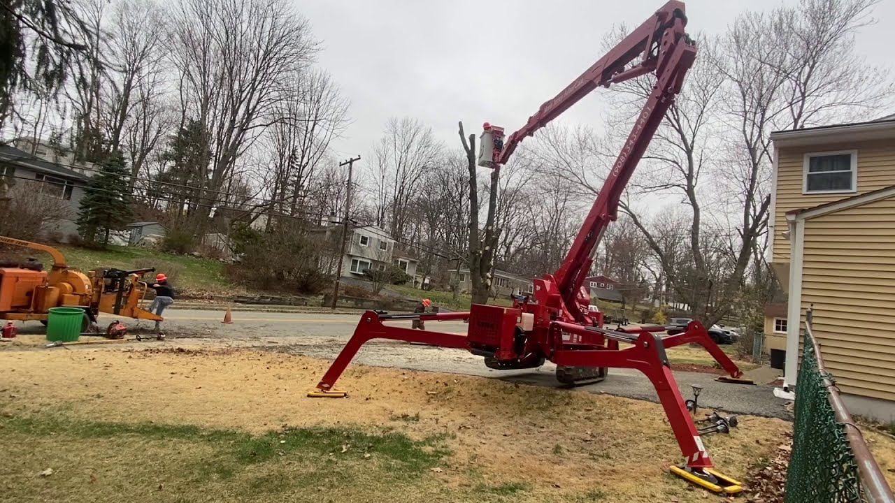 MAPLE TREE REMOVAL WITH THE 2020 CMC 83HD SPIDER LIFT