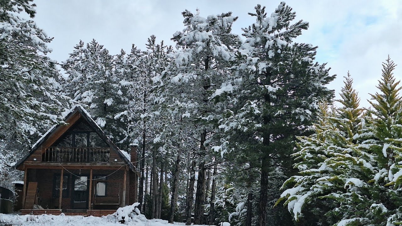 YALOVA/ARMUTLU/ÇADRA KÖYÜ 