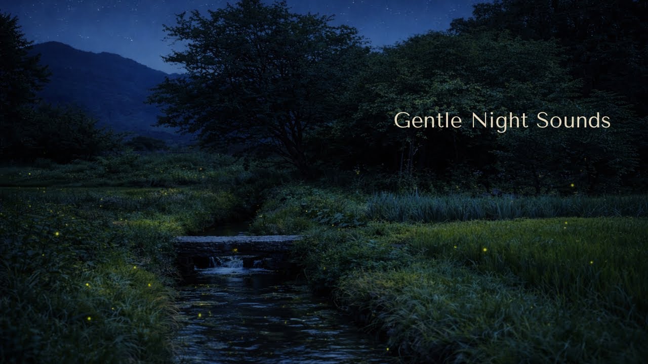 Gentle Night Sounds in Japan | Stream & Crickets | Calm Sounds for Relaxing & Sleep (1 Hour)