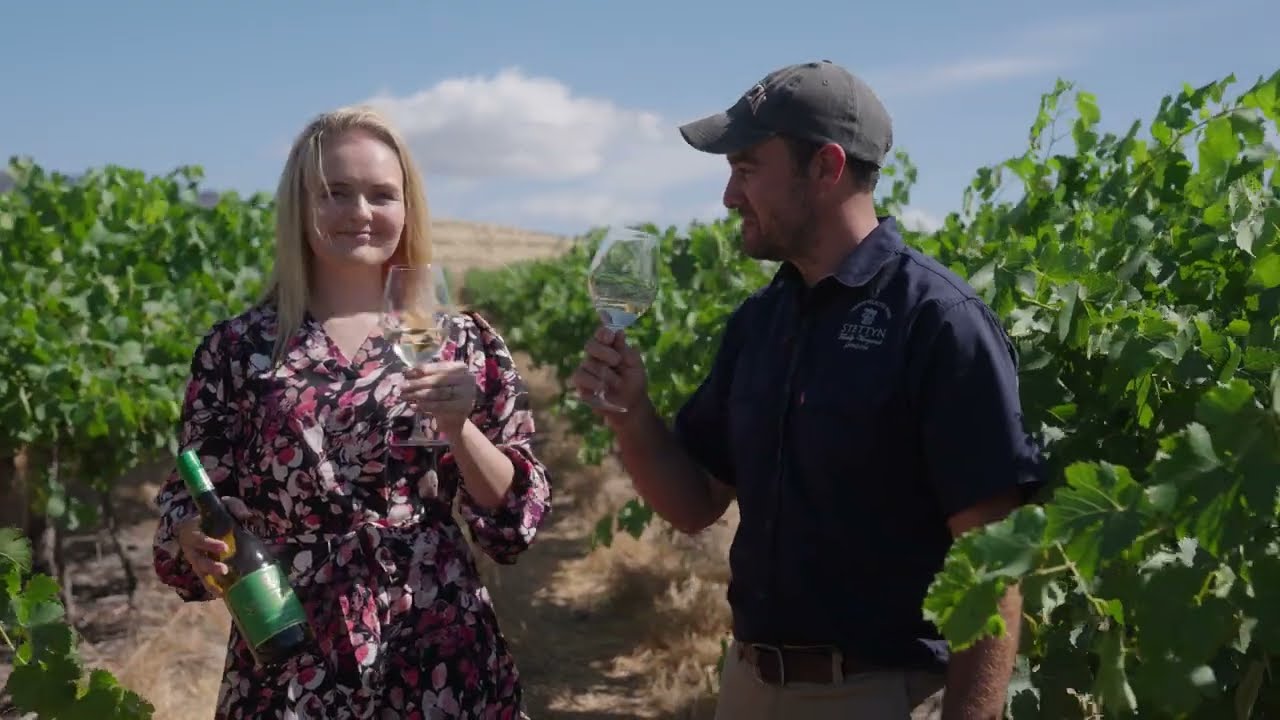 Stettyn Virtual Wine Tasting - The Whites
