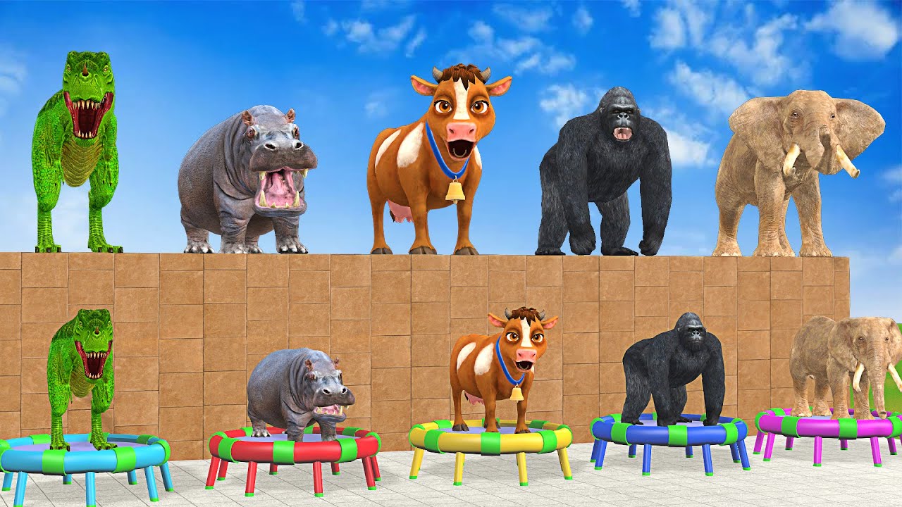 Long Slide Game With Cow Elephant Gorilla Hippopotamus Tiger 3d Animal Game Funny 3d Animals
