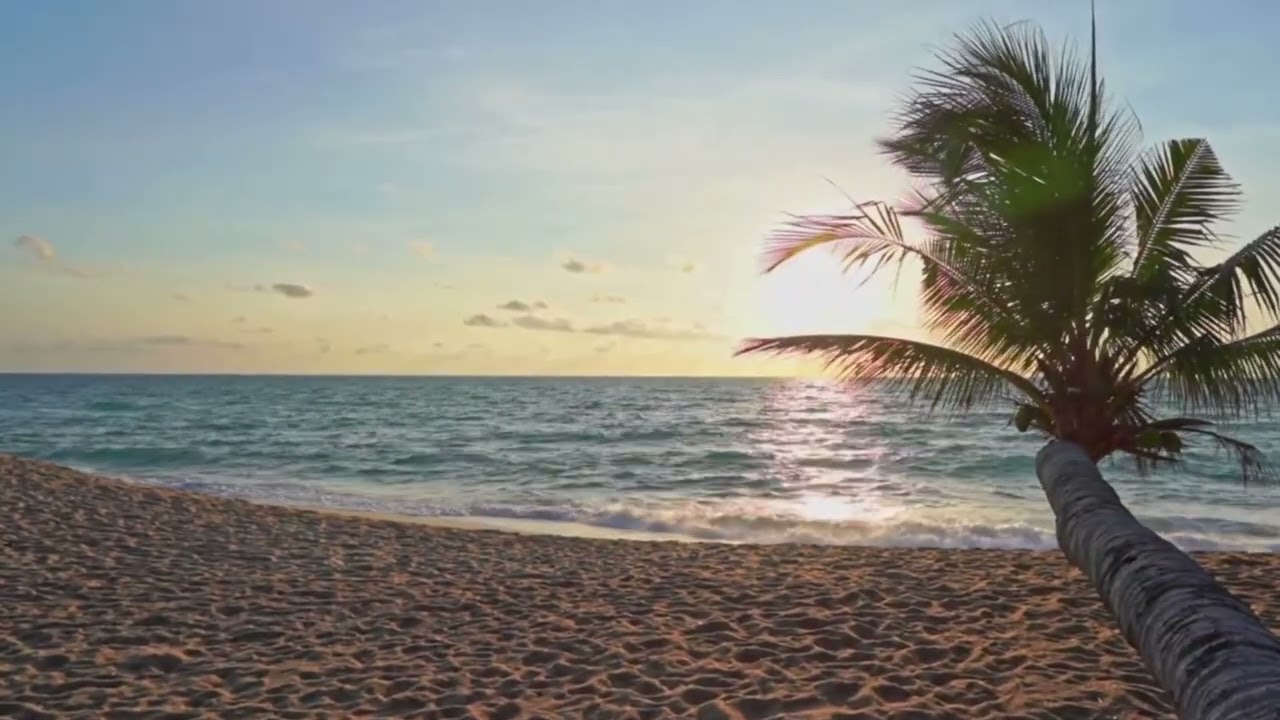 Le beau Danube bleu de la Jamaïque (Strauss) Arrangement Marc Mandel
