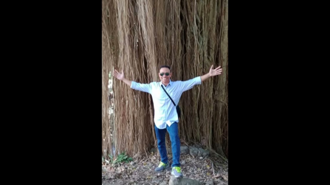 Timbul Rasa Cinta / Cipt : Kang Udin.Ap