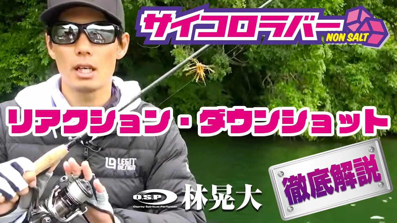 【サイコロラバー】リアクション・ダウンショット徹底解説【林晃大】