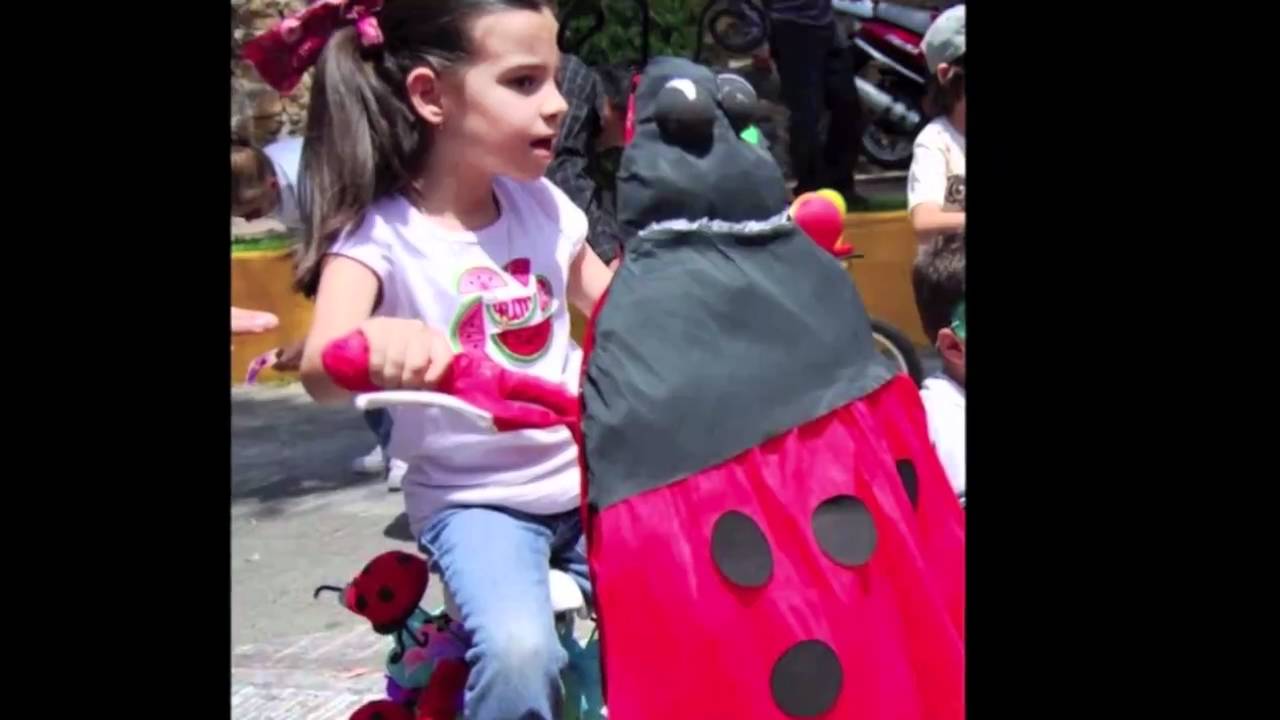 carnaval - desfile primavera