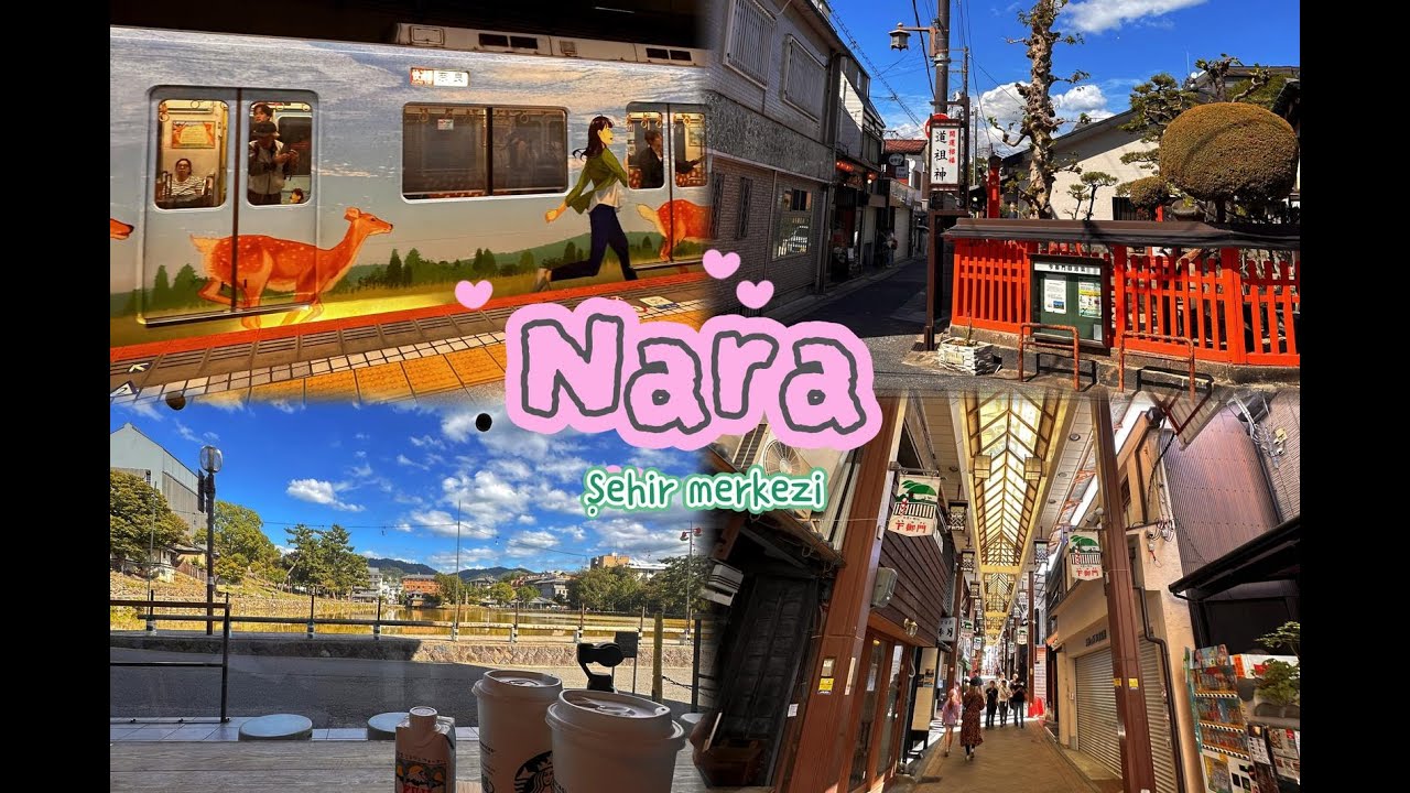 JAPONYA - Nara Şehir Merkezi