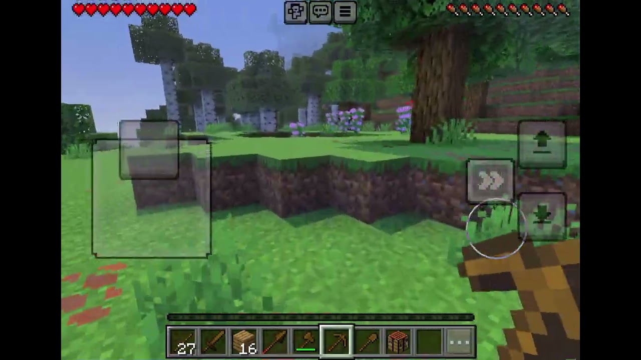 My survival world ￼part 1￼
