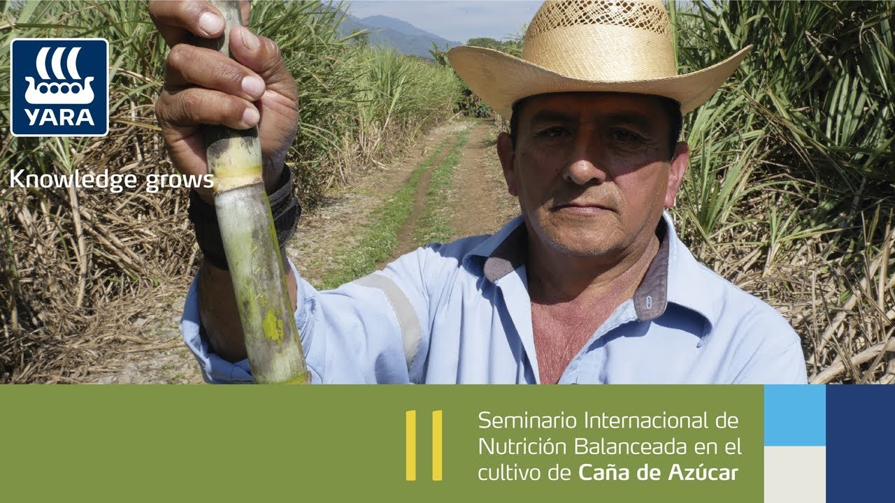 II Seminario Internacional de Nutrición en Caña 2018
