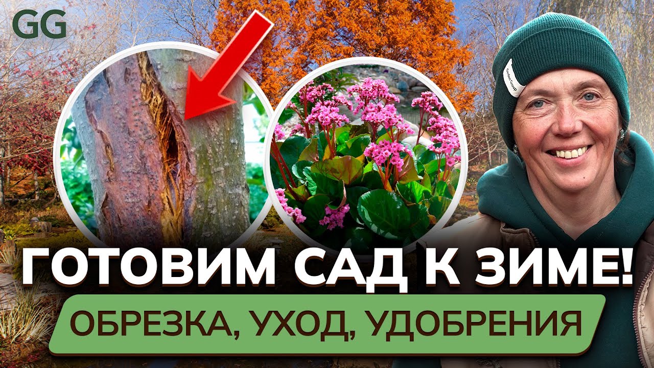 Как подготовить УЧАСТОК, САД К ЗИМЕ? Мастер-класс: обрезка растений, секреты ухода, удобрения