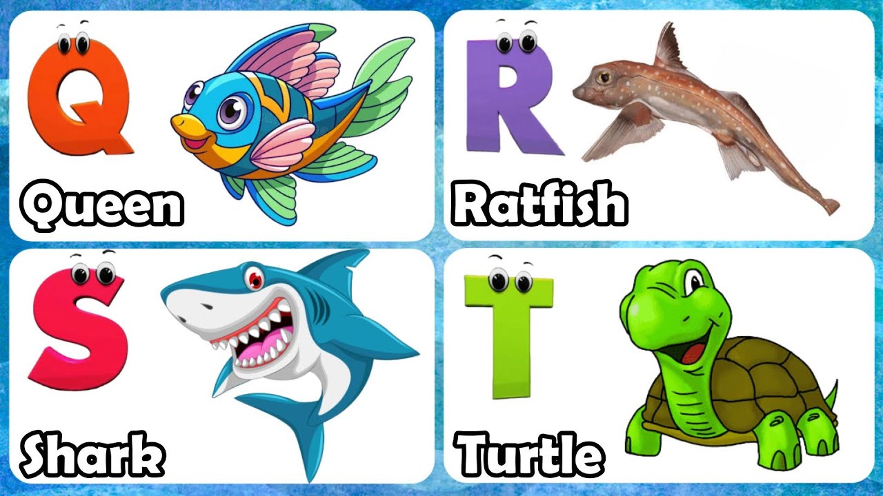 Phonics Song - Ocean Friends | ChuChuTV Nursery Rhymes and Learning Songs for Infants