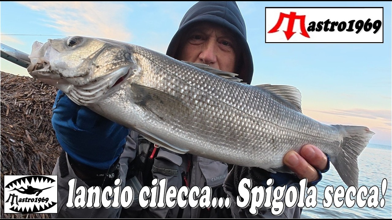 lancio cilecca spigola secca spinning mare strike