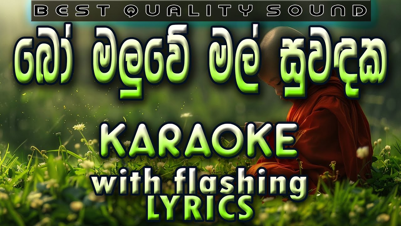 Bo Maluwe Mal Karaoke with Lyrics (Without Voice)