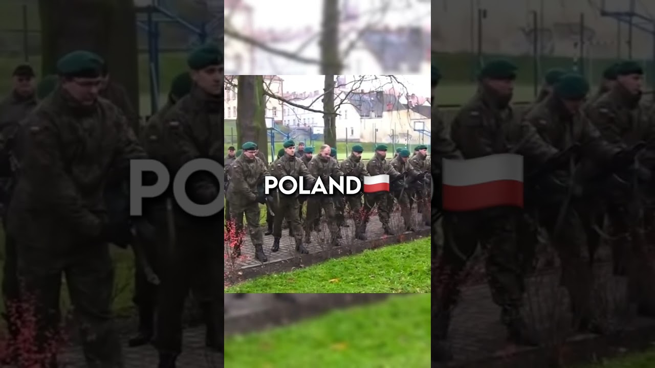 Meet the militaries of the world #military #fyp #viral