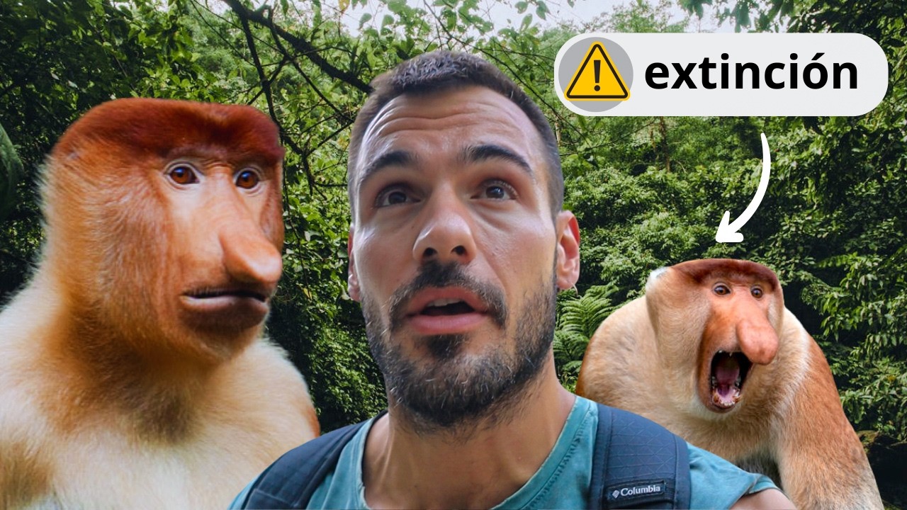 Visité la Isla más Salvaje de Malasia | Borneo