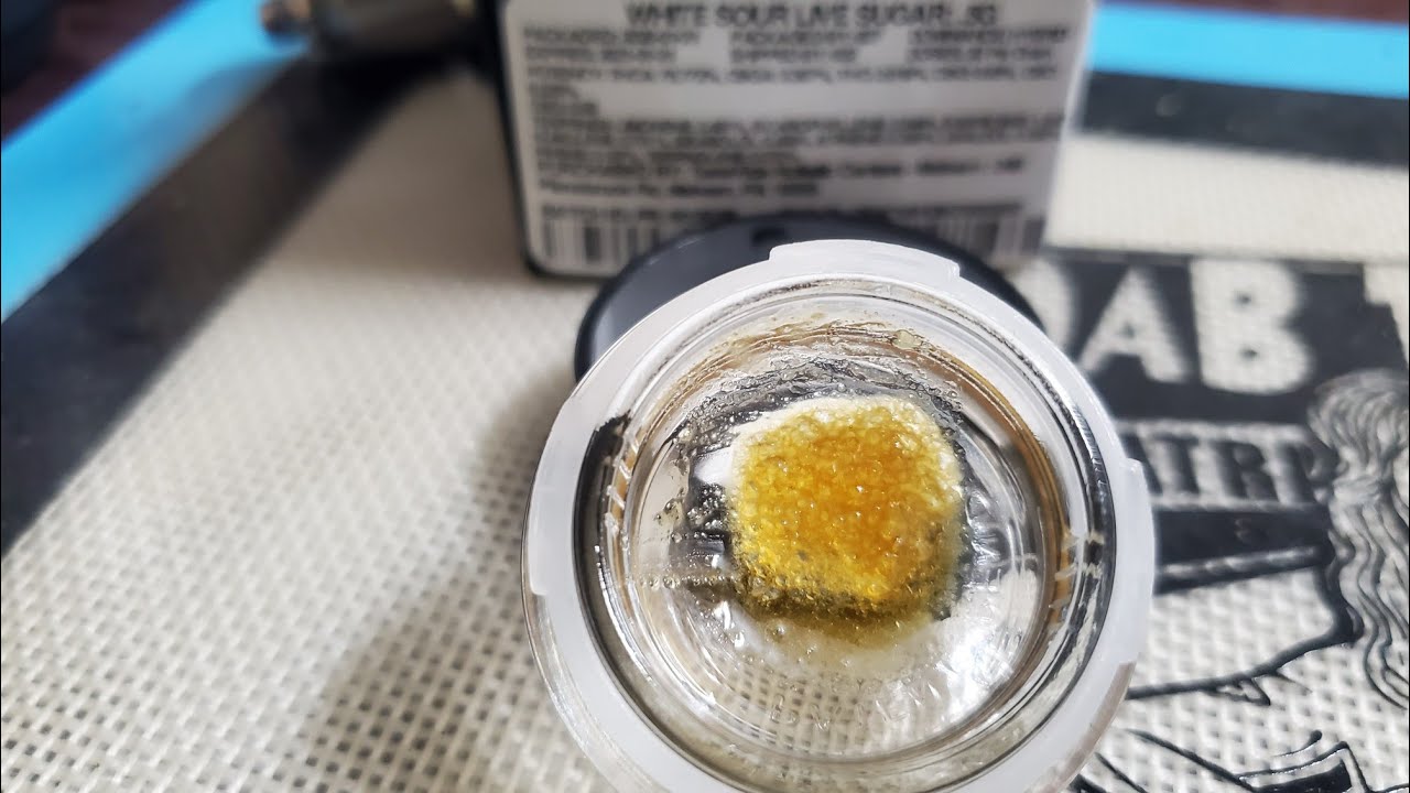 WHITE SOUR LIVE SUGAR BY GRASSROOTS PA