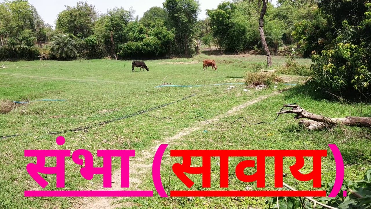 माझा गांव संभा (सावाय) Sambha Village in Maharashtra | Beautiful Village in India - Midgard Places