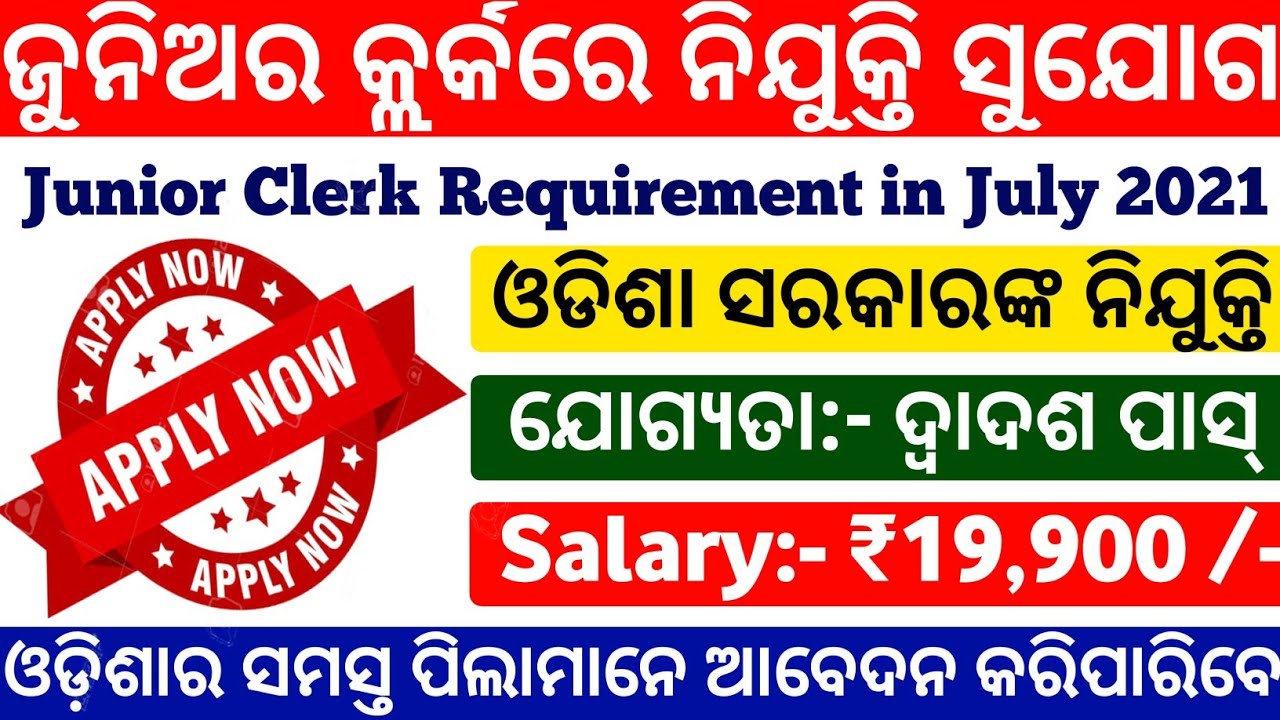 Junior Clerk Requirement 2021|odisha job updates 2021|odisha job vacancy 2021|free job alert 2021