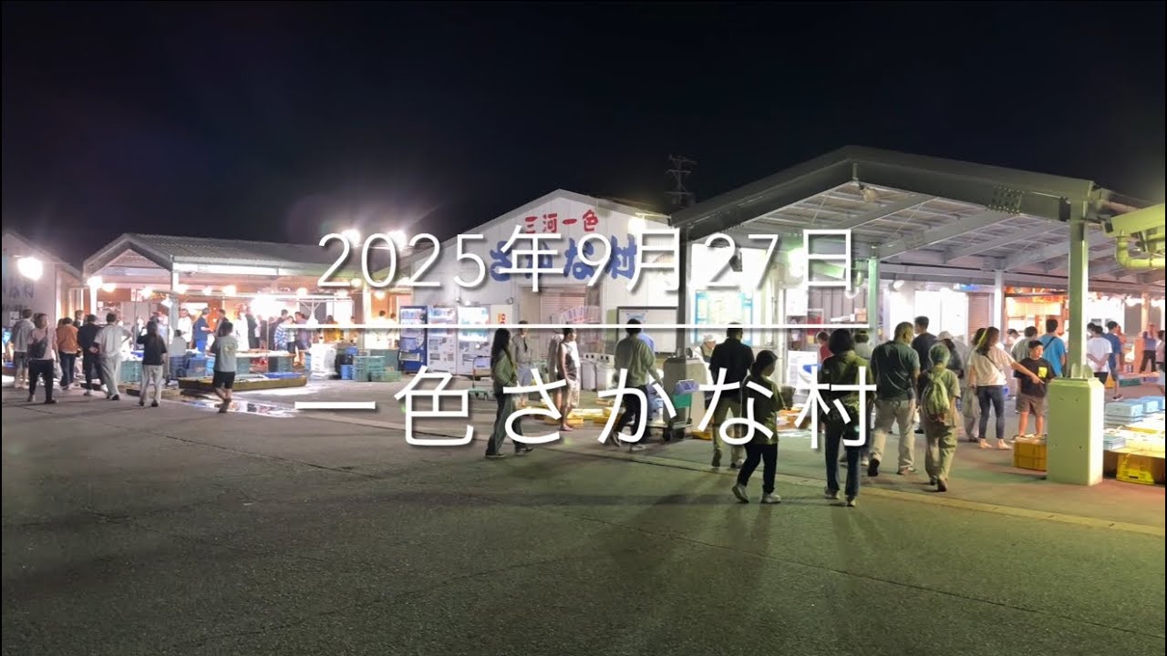 【信じられない‼︎】超高級魚が【500円】⁉︎『一色さかな村』異次元の朝市
