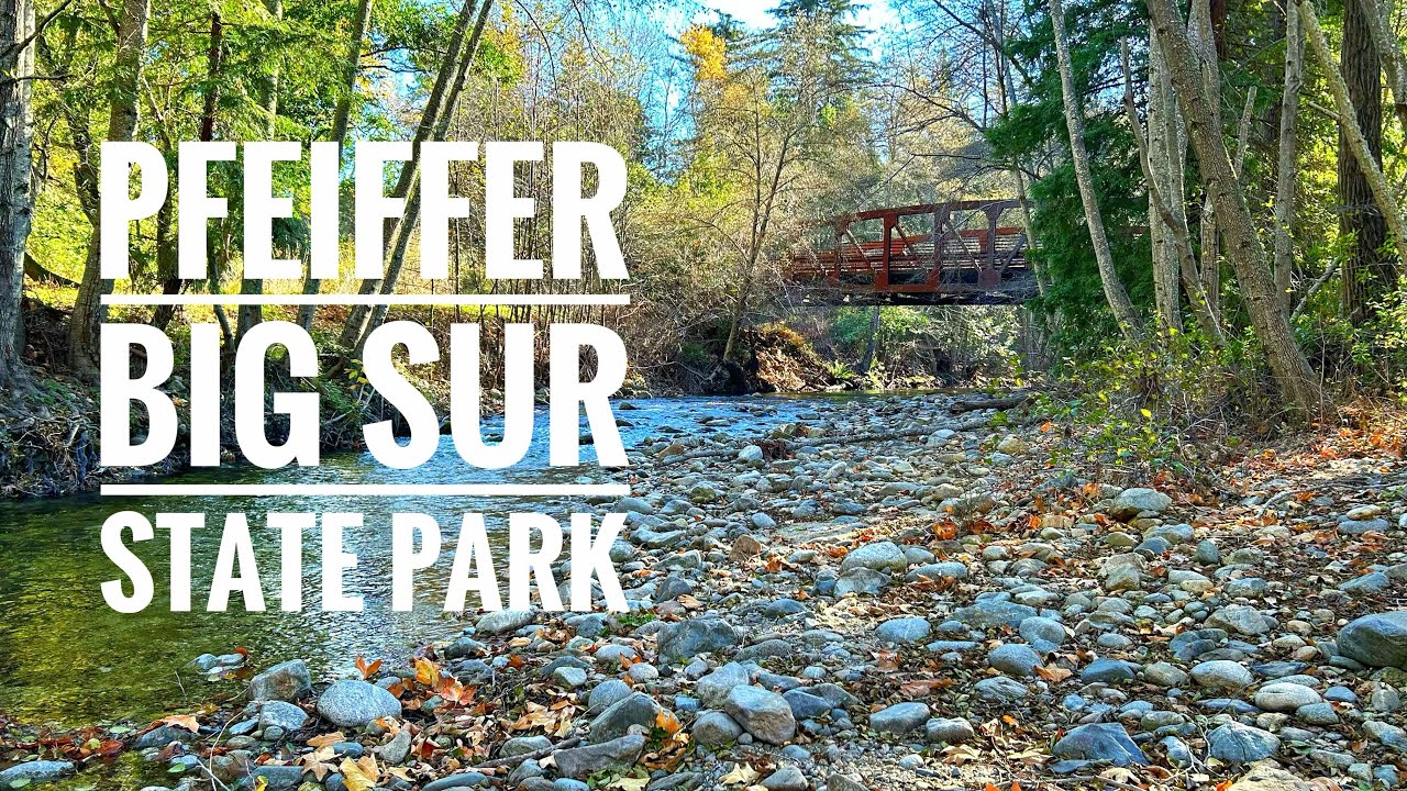 The Ultimate Family Camping Adventure at Pfeiffer Big Sur