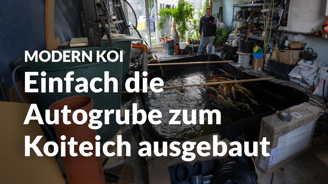 Hannos 14.000 Liter Werkstattkoiteich | Modern Koi Blog #6533