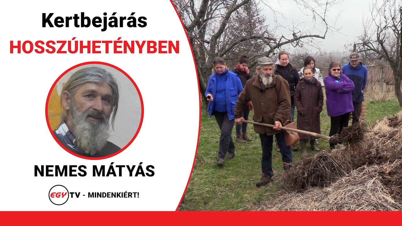 Nemes Mátyás biodinamikus gazda tanácsai egy fejlesztés alatt álló kertben